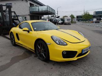  Porsche Cayman  2013/1