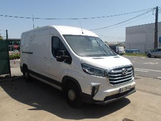 Maxus Deliver9  picture 4