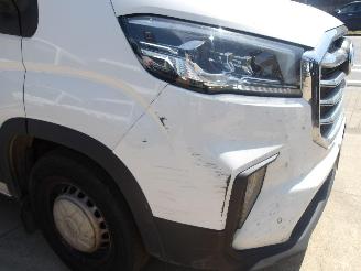 Maxus Deliver9  picture 9
