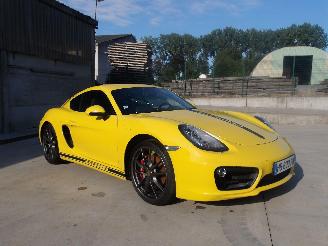 škoda osobní automobily Porsche Cayman  2013/1