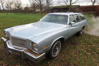 Avarii autoturisme Buick Century CUSTOM V8 STATIONWAGON 1976/6