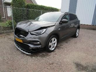 Voiture accidenté Opel Grandland X 1.2T Navi Panodak Clima Camera 6-Bak 2019/11