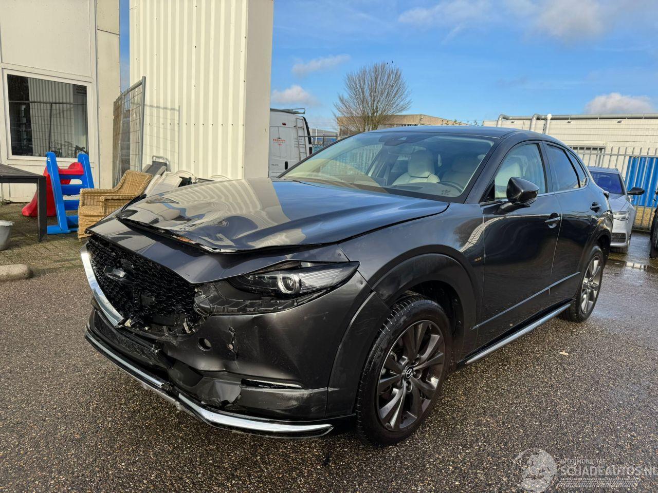 Mazda CX-30 2.0 e-SkyActiv-X M Hybrid Luxury