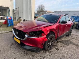 uszkodzony samochody osobowe Mazda CX-30 2.0 AUTOMAAT e-SkyActiv-X M Hybrid Homura BJ 2023 10319 KM 2023/6