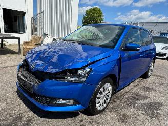 Vaurioauto  passenger cars Skoda Fabia 1.0 TSI Ambition 2021/1