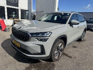 Damaged car Skoda Kodiaq 1.5 TSI MHEV Business Edition 7p 2024/6