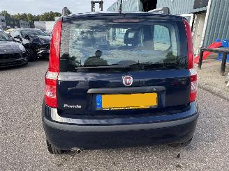 Fiat Panda 1.2 Active picture 4