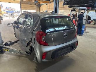 Kia Picanto Picanto (JA), Hatchback, 2017 1.0 DPI 12V picture 3