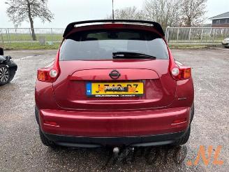 Nissan Juke Juke (F15), SUV, 2010 / 2019 1.6 DIG-T 16V picture 4