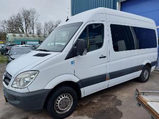 skadebil auto Mercedes Sprinter Sprinter 3,5t (906.73) Bus 311 CDI 16V 2010/4