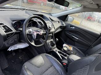 Ford Kuga 1.5 110KW Titanium Plus Clima Navi Camera picture 14