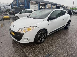 Renault Mégane Coupe 1.4 TCE 96KW Bose Pano Clima Navi NAP picture 3