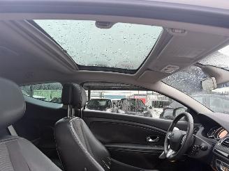 Renault Mégane Coupe 1.4 TCE 96KW Bose Pano Clima Navi NAP picture 8