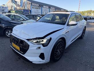 Audi E-tron 55 Quattro 95 kWh 408PK Advanced Pano Clima Navi Led Camera NAP picture 5