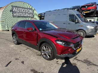 Voiture accidenté Mazda CX-30 2.0 e-SkyActiv-X Autom. 137KW M Hybrid Luxury Clima Navi Led NAP 2022/1