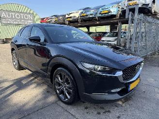 Unfallwagen Mazda CX-30 2.0 e-Skyactiv-X 137KW M Hybrid Autom. Clima Navi Luxury HUD NAP 2022/2