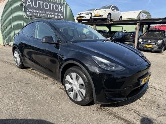 uszkodzony samochody osobowe Tesla Model Y 58 kWh 175KW RWD Clima Navi Pano NAP 2024/2