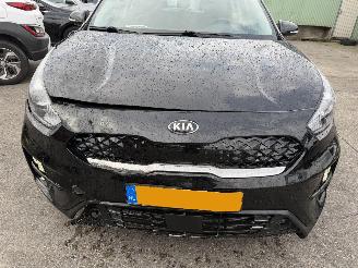 Kia Niro 1.6 GDI Hybrid 77KW Autom. Clima Navi Camera Led Dynamicline NAP picture 19