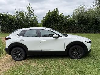 Mazda CX-30 2.5 Hybrid picture 6