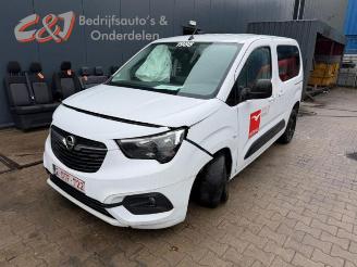 Opel Combo Combo Cargo, Van, 2018 1.5 CDTI 100 picture 1