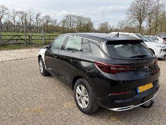 Opel Grandland 1.2 Turbo HYBRIDE GS LIGHT picture 13