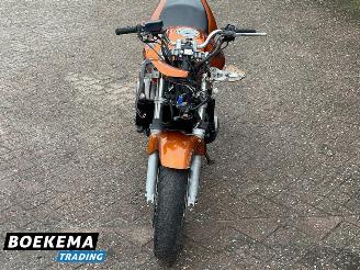 Honda CB 600 F Hornet picture 5