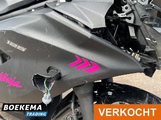 Kawasaki  Ninja 125 picture 11