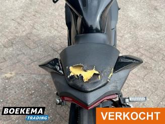 Kawasaki  Ninja 125 picture 14