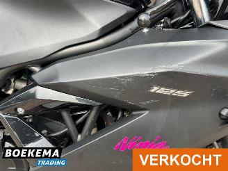 Kawasaki  Ninja 125 picture 12