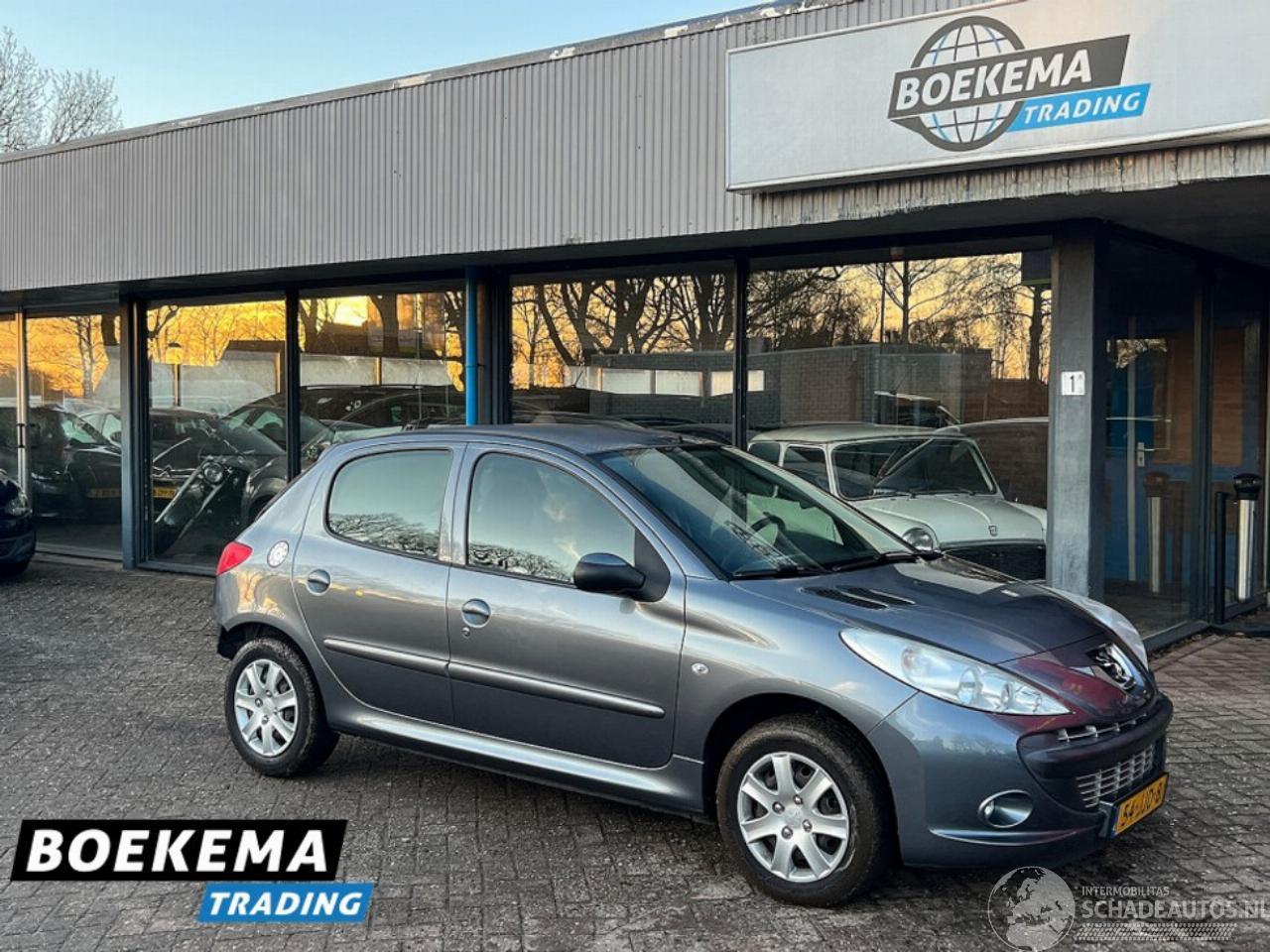 Peugeot 206+ 1.4 XS 5-Deurs Airco Cruise