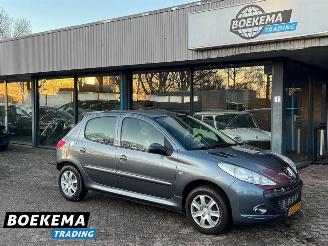 Vaurioauto  passenger cars Peugeot 206+ 1.4 XS 5-Deurs Airco Cruise 2009/6