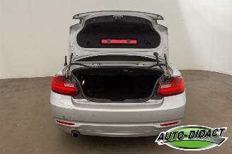 BMW 2-serie 220 cabrio Automaat Navi picture 45