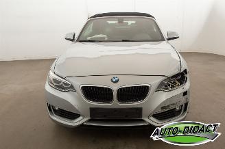 BMW 2-serie 220 cabrio Automaat Navi picture 43