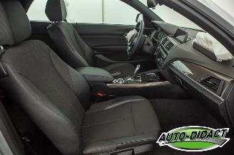 BMW 2-serie 220 cabrio Automaat Navi picture 25