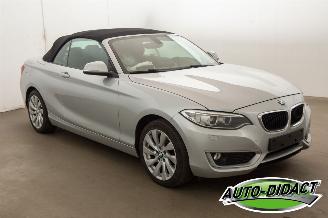 BMW 2-serie 220 cabrio Automaat Navi picture 4