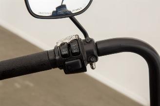 Harley-Davidson  FLSTC picture 10