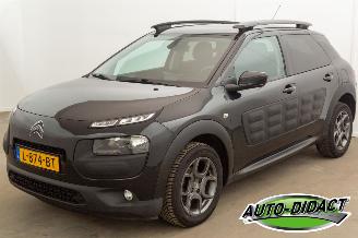  Citroën C4 cactus 1.6 BlueHDi Navi Clima Camera Business Plus 2016/1