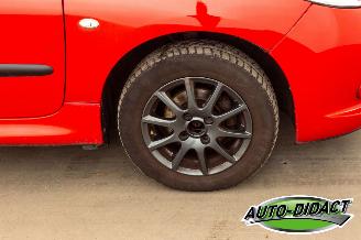 Peugeot 206 1.1 XR picture 23