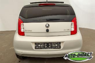 Skoda Citigo 1.0 MPI 84.100 km Pano Airco Stoelverwarming Ambition picture 31