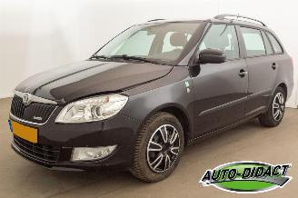 Vaurioauto  passenger cars Skoda Fabia 1.2 TDI Greenline Airco 2011/6