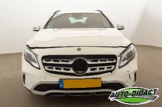 Mercedes GLA 180 Automaat Clima Navi Camera Business Solution Limited picture 35