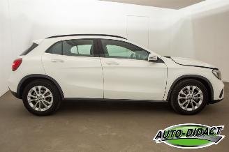 Mercedes GLA 180 Automaat Clima Navi Camera Business Solution Limited picture 39