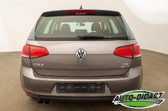 Volkswagen Golf 1.4 TSI Clima Navi Trendline picture 42