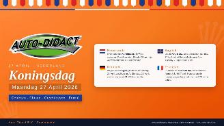 krockskadad bil auto Audi   2026/1