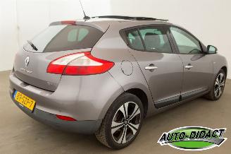 Renault Mégane 1.4 TCe Open Pano Clima Bose picture 4