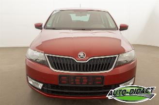Skoda Rapid 1.6 TDI 77 kW Clima Navi Ambition picture 37
