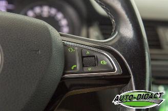 Skoda Rapid 1.6 TDI 77 kW Clima Navi Ambition picture 15