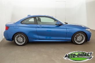 BMW 2-serie 218d Automaat Leder Navi Schuifdak picture 27
