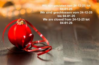 Schadeauto Audi  Gesloten van 24-12 tot 04-01-26 2026/1