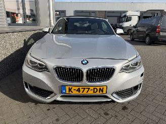 BMW 2-serie 230i Executive Cabrio picture 5